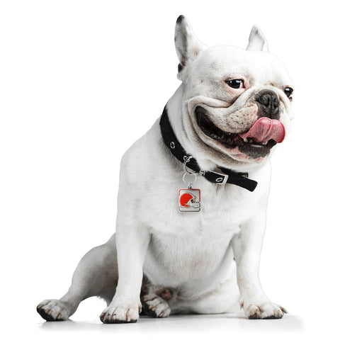 Cleveland Browns Pet Collar Charm-0