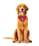 Arizona Cardinals Pet Bandanna Size S - Special Order