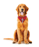 Kansas City Chiefs Pet Bandanna Size XS-0