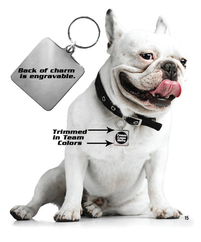 Cleveland Cavaliers Pet Collar Charm-0