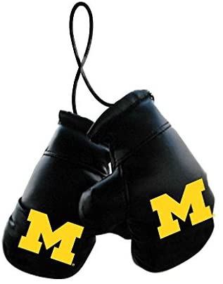 Michigan Wolverines Boxing Gloves Mini